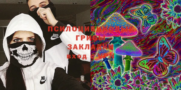 сатива Арсеньев