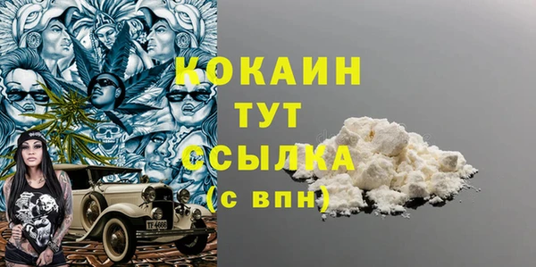 сатива Арсеньев